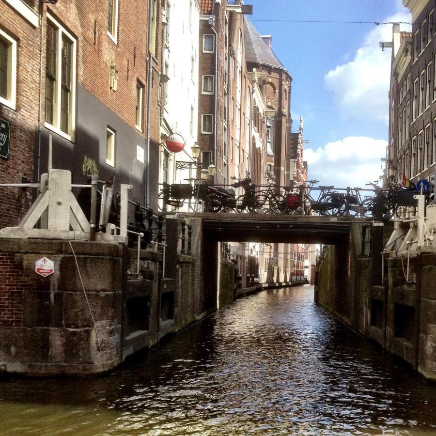 Blauwe Hoorn Bed & Breakfast Amsterdam Ngoại thất bức ảnh
